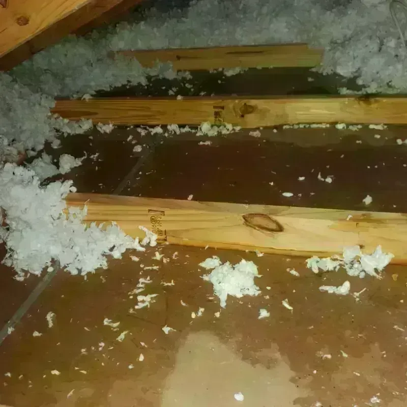 Attic Water Damage in Ransom Canyon, TX