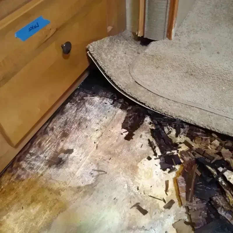 Wood Floor Water Damage in Ransom Canyon, TX